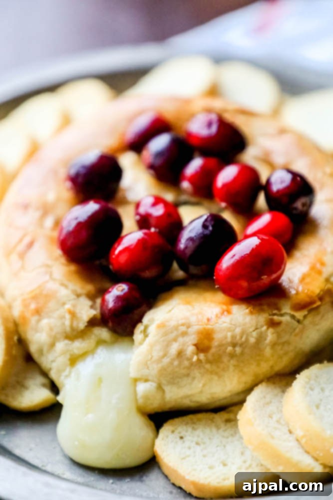 Gooey Cranberry Apricot Brie 3 Warm baked brie with cranberries gently oozing from its perfectly golden puff pastry crust.