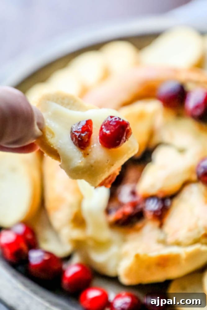 Gooey Cranberry Apricot Brie 4 A delectable piece of cranberry apricot baked brie, served on a slice of bread, showcasing its melted cheese and fruit topping.