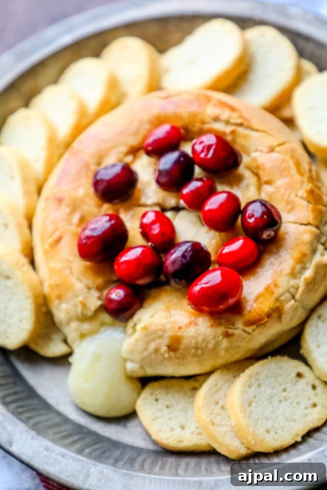 Gooey Cranberry Apricot Brie 5 A perfectly baked brie en croute, topped with a luscious cranberry and apricot mixture, ready to be enjoyed.