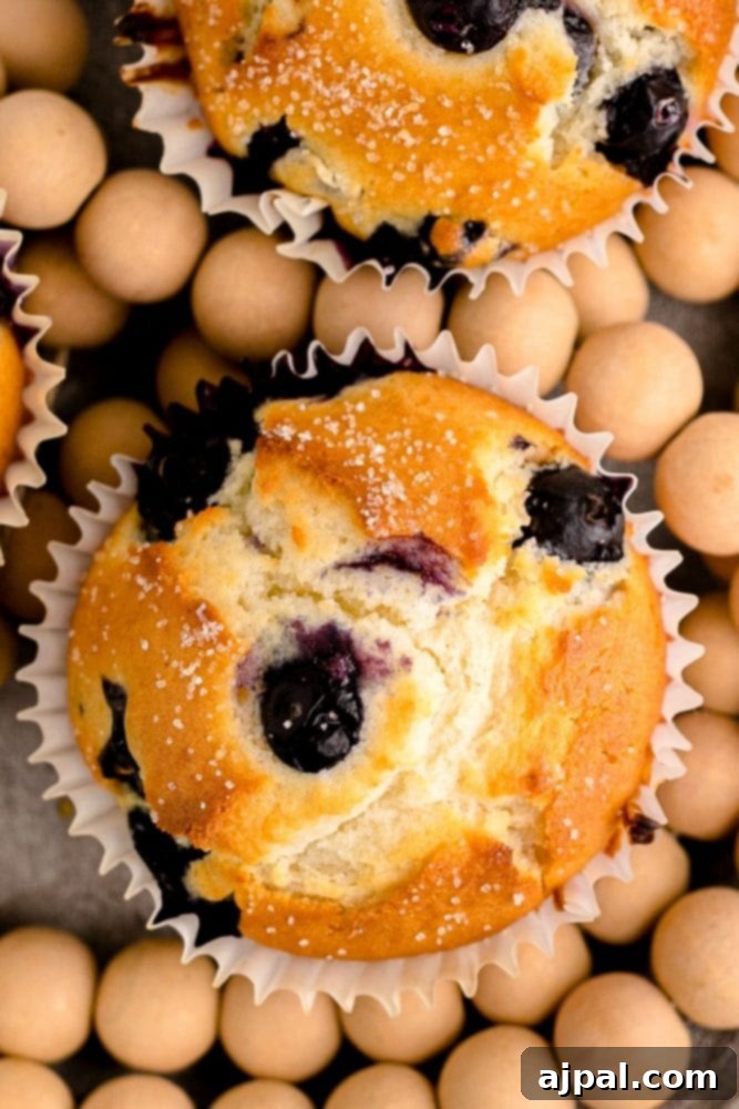 Blueberry muffins with an almond crust.