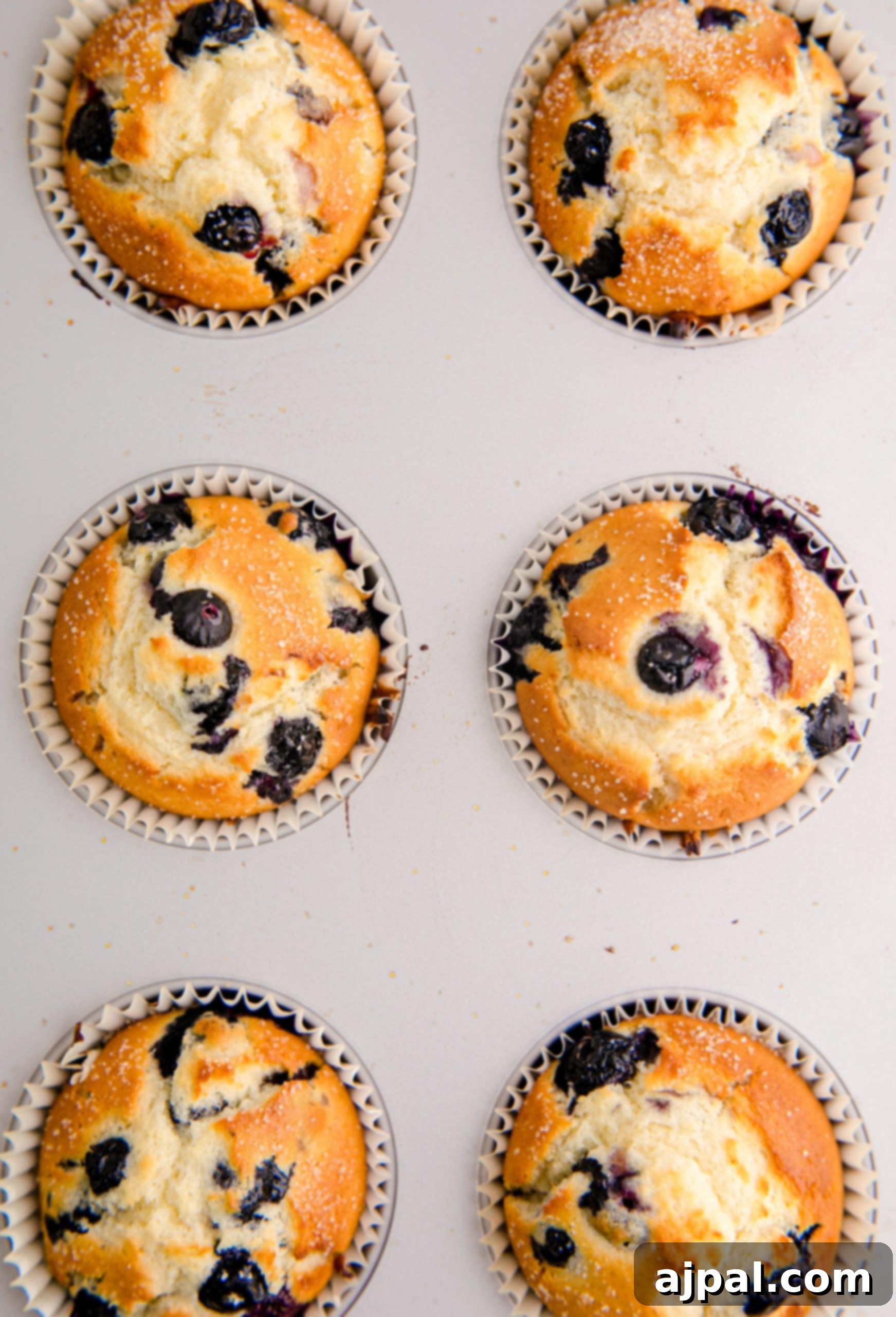 Blueberry Muffins in a muffin tin using Jumbo Blueberries.