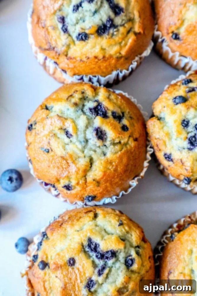 Blueberry muffins on a white plate with jumbo blueberries.