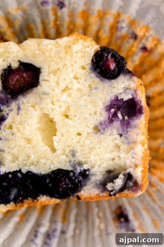 Jumbo Blueberry Muffin recipe in a muffin tin.