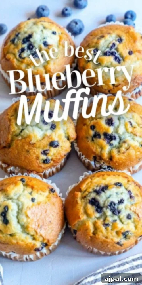 picture of blueberry muffins on a table 