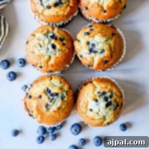 picture of blueberry muffins on a table next to blueberries
