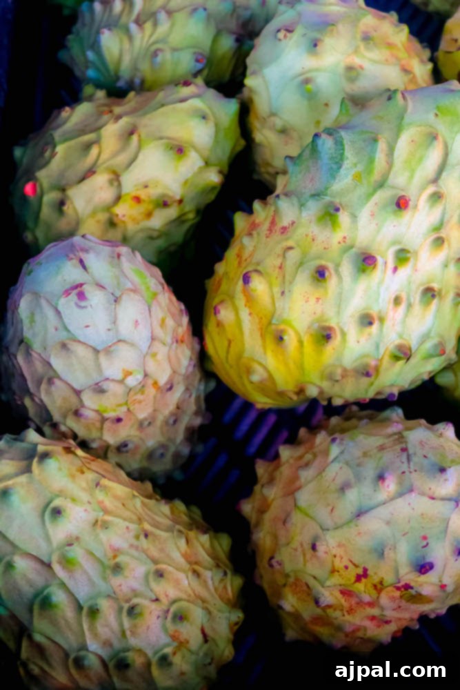 Idyllic Santa Ynez Valley Getaway 20 A vibrant display of green and yellow cherimoya fruits at the Solvang Farmers Market, showcasing the fresh produce of Santa Ynez Valley.