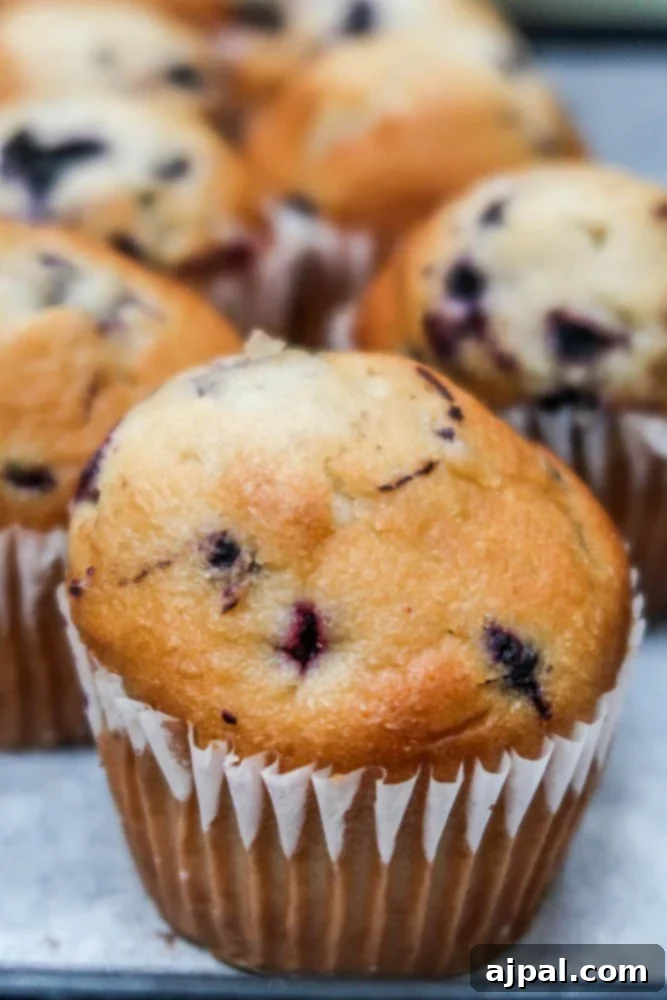 Baking blueberry muffins on a sheet in Oxnard, California.