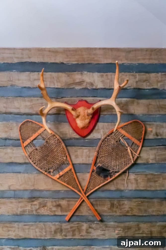 A pair of deer antlers and a pair of snowshoes, capturing the essence of A Perfect Day in the Santa Ynez Valley.