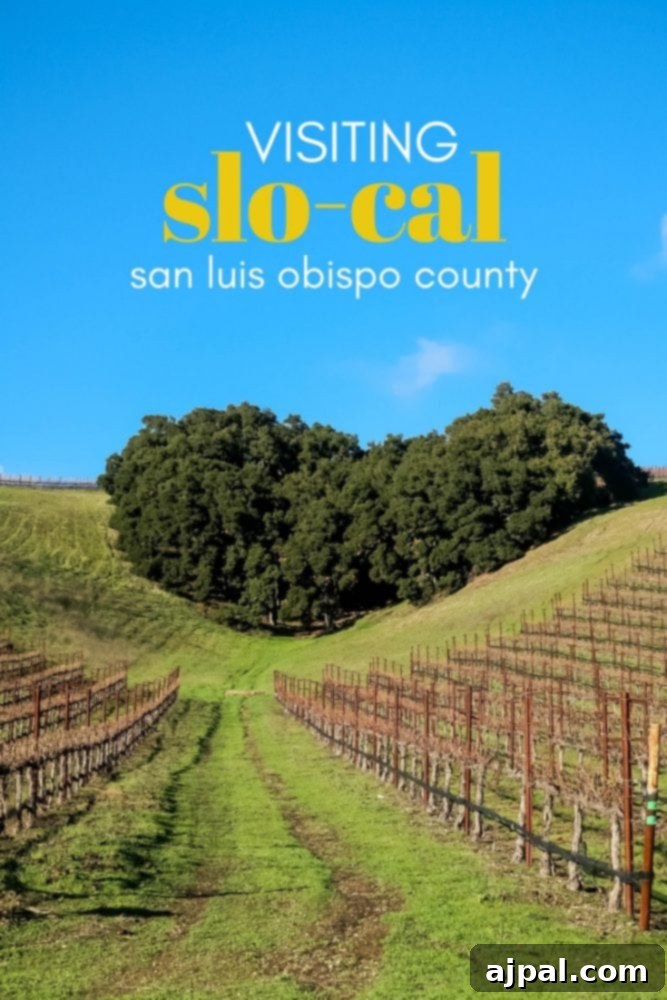 Visiting San Luis Abbo county for a perfect day in SLOCal, exploring Paso Robles attractions and finding accommodation in Atascadero.