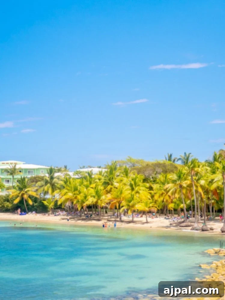 Easy Homemade Creole Sauce 5 A stunning tropical beach with golden sands and lush palm trees swaying gently, overlooking clear turquoise ocean waters.