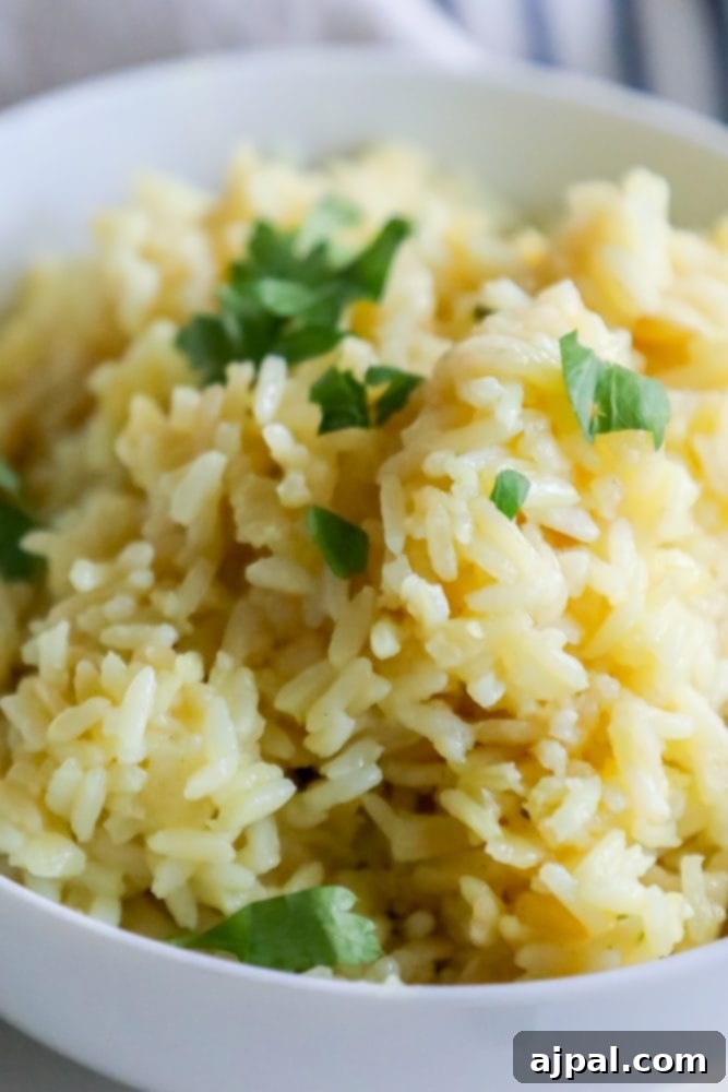 rice pilaf with parsley on it