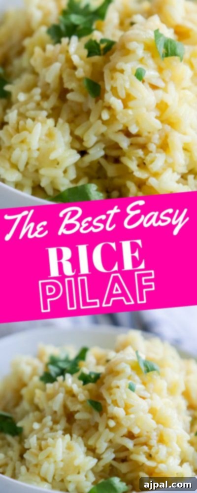 rice pilaf with parsley on it