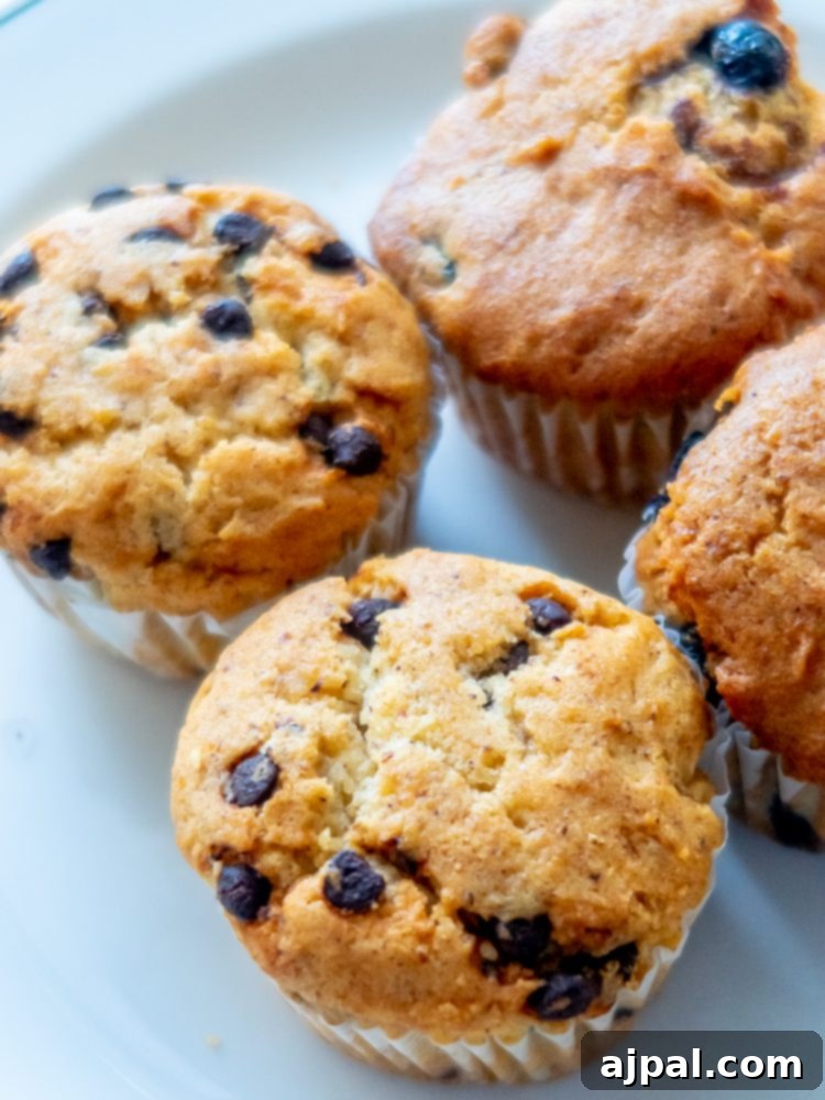 Gluten-Free Cruising on the Caribbean Princess 5 Three gluten-free chocolate chip muffins on a white plate.
