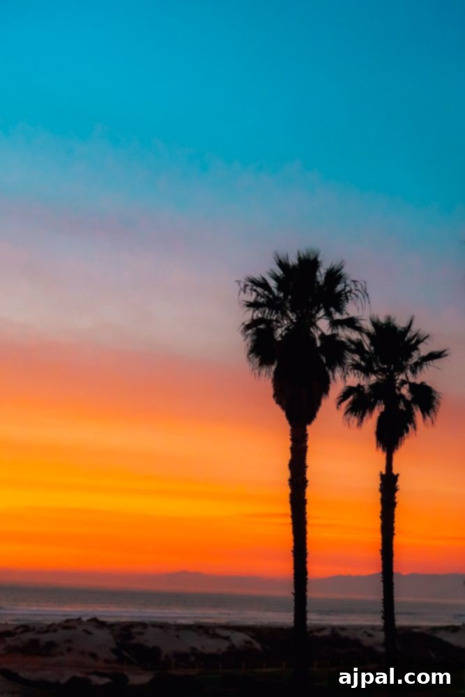 Golden State Wanderlust 2 Two palm trees silhouetted against a vibrant sunset sky over Mandalay Beach, Oxnard CA