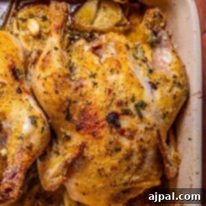 The Ultimate Cornish Game Hen Recipe 12 roasted cornish game hens over slices of lemons, shallots, and roasted garlic cloves in a baking dish