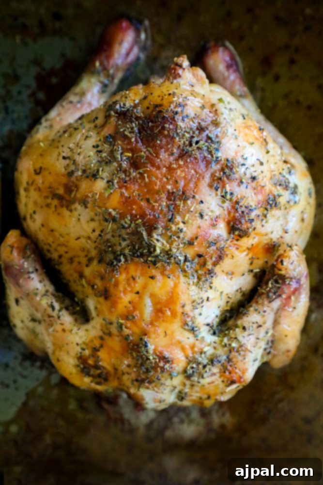 The Ultimate Cornish Game Hen Recipe 4 Roasted cornish game hen on a baking sheet with herbs and butter