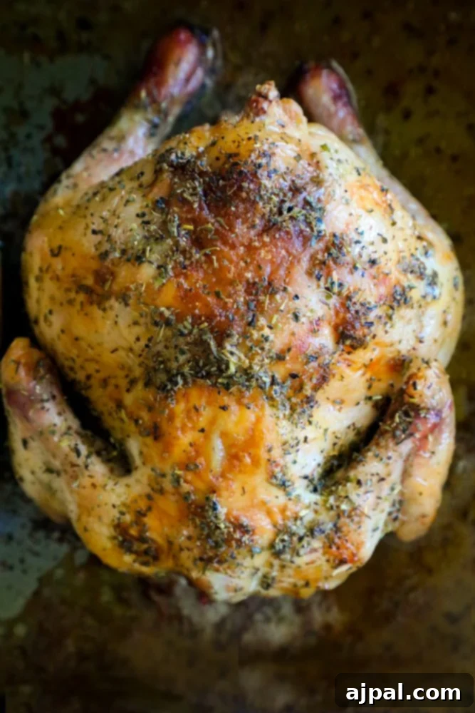 Roasted Cornish game hen seasoned with fresh herbs and butter on a baking sheet.