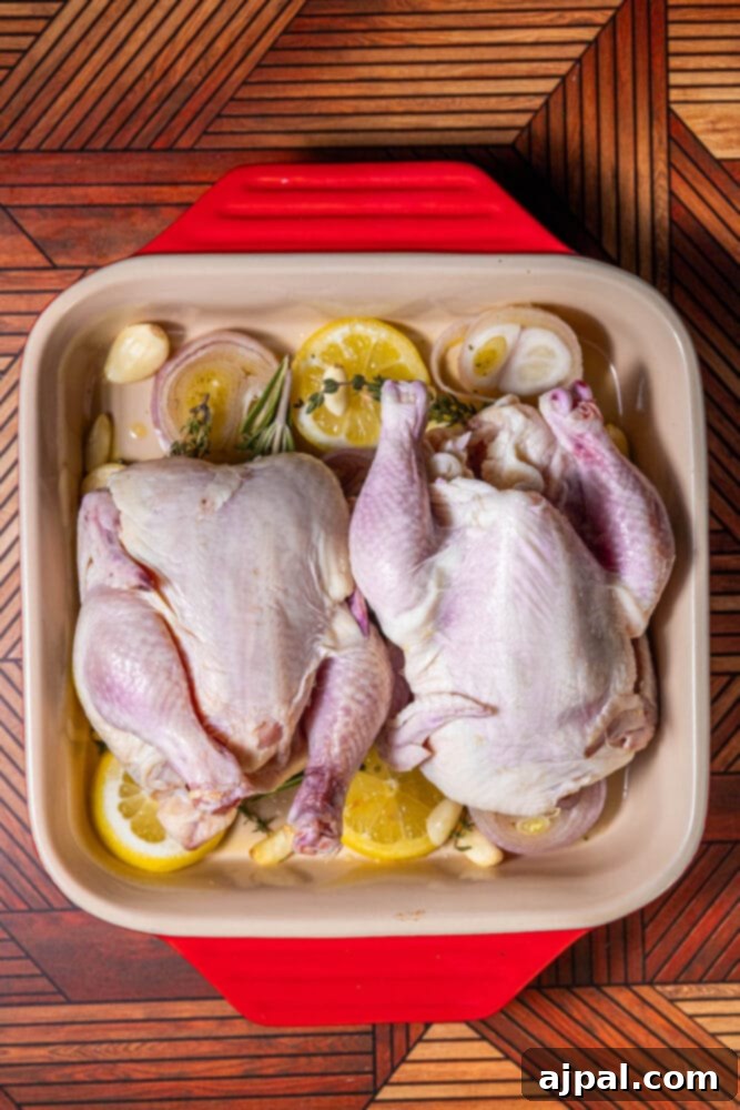 The Ultimate Cornish Game Hen Recipe 6 dry cornish game hens on top of lemon, shallot, and herbs in baking dish
