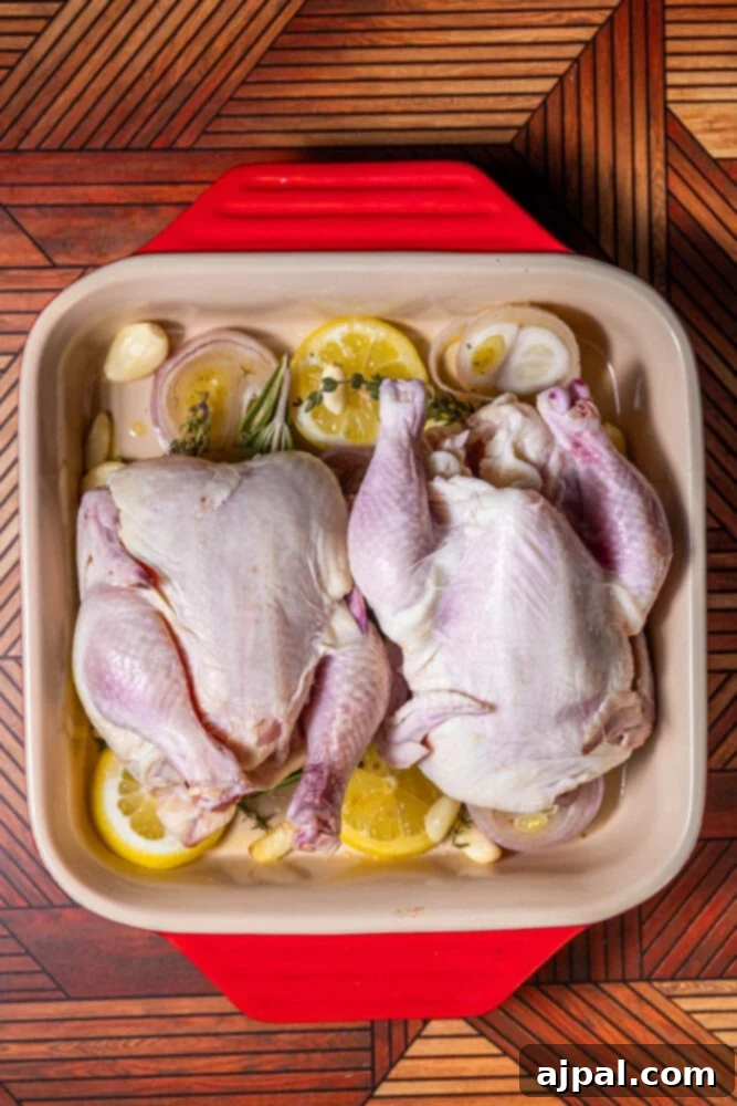 Dry Cornish game hens placed on a bed of lemon, shallot, and herbs in a baking dish, pre-seasoning.