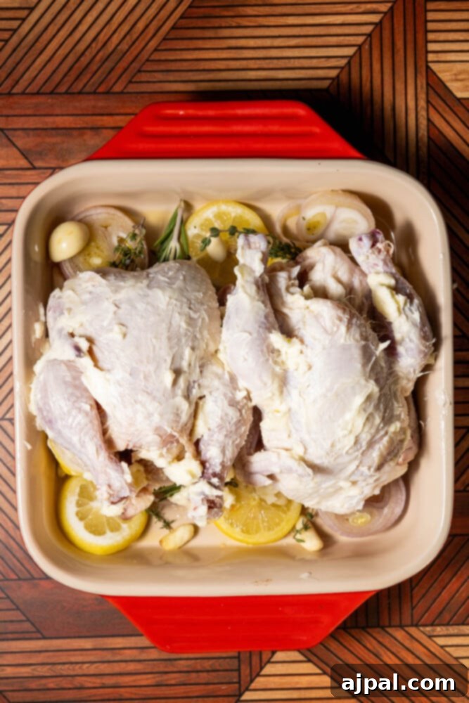The Ultimate Cornish Game Hen Recipe 7 butter slathered cornish game hens on top of lemon, shallot, and herbs in baking dish