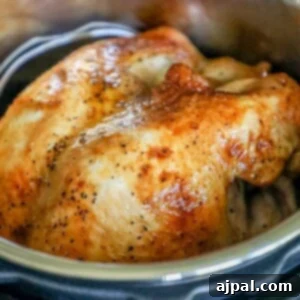 Perfect Instant Pot Turkey Breast 11 An appetizing Instant Pot recipe for roasted chicken, highlighting a juicy and tender preparation.