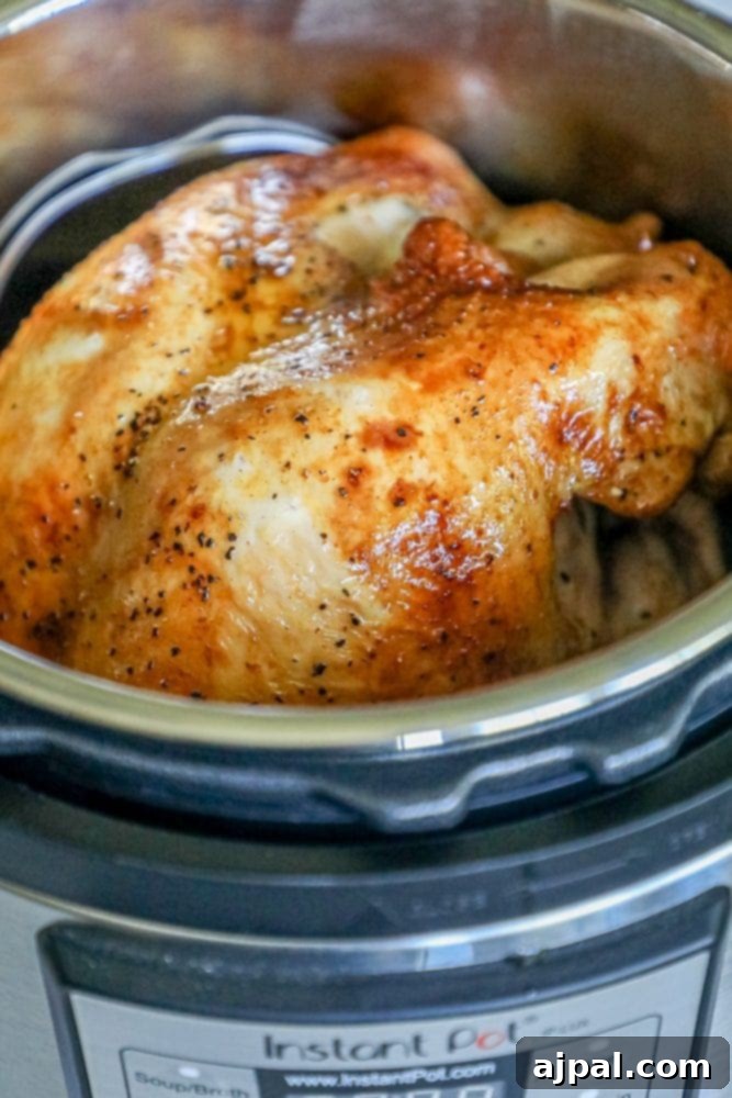 Perfect Instant Pot Turkey Breast 6 A whole turkey breast being expertly cooked within an Instant Pot, showcasing the ease of pressure cooking poultry.