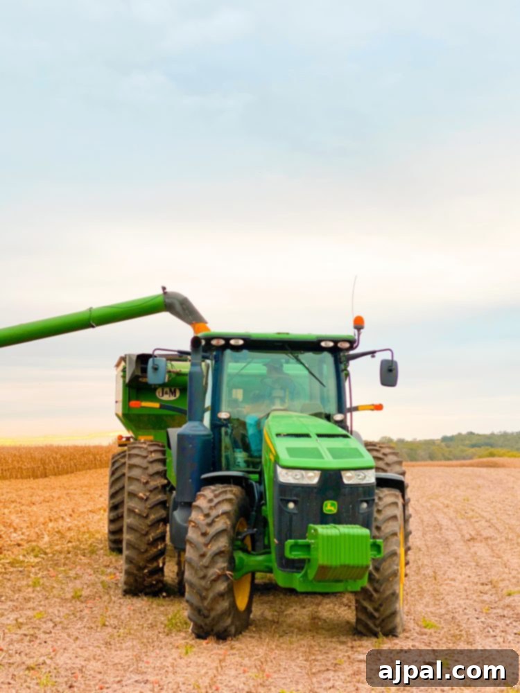Iowa's Corn Belt: A Journey Through America's Farms 6 A corn-fed green tractor in an Iowa field.