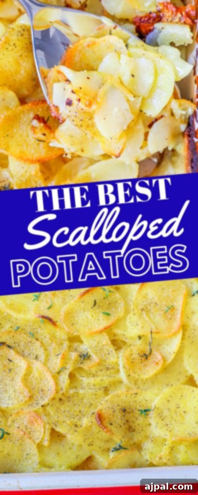 thinly sliced potatoes baked in cheesy sauce.