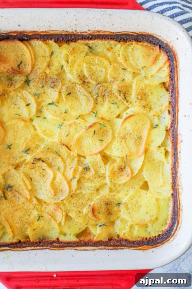A baking dish filled with Cheesy Scalloped Potatoes.