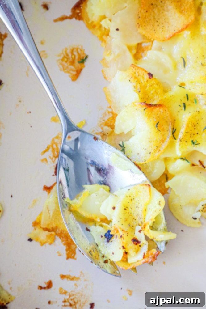 A spoon with a piece of Cheesy Scalloped Potatoes on it.