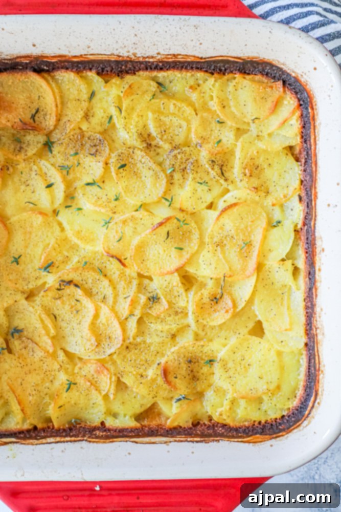 A baking dish filled with Cheesy Scalloped Potatoes.