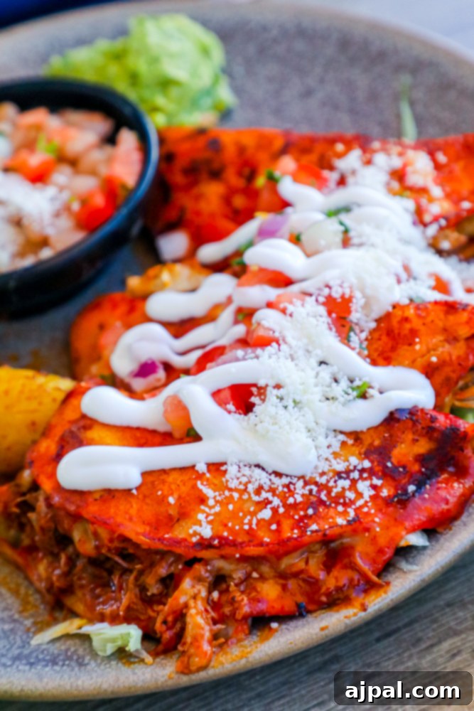 SoCal Taco Trail: An Epic Road Trip 3 A vibrant plate of enchiladas, adorned with fresh guacamole and a dollop of sour cream, promising authentic Mexican flavors on a California taco tour.