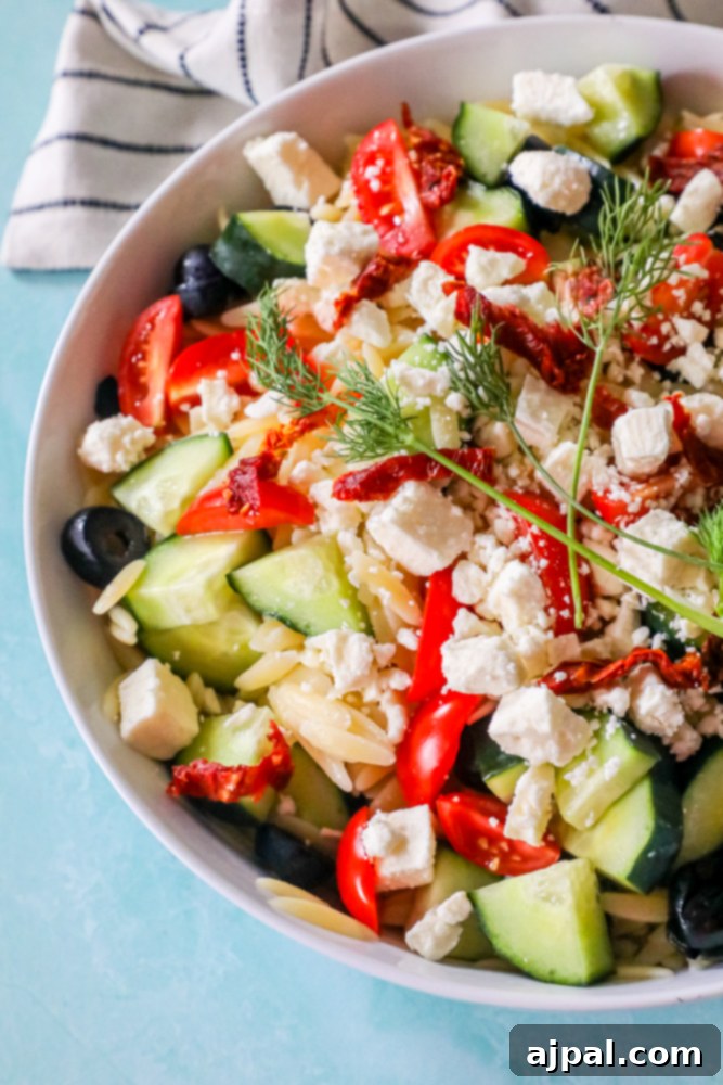 A bowl of Greek Orzo Pasta Salad with cherry tomatoes, olives, sun-dried tomatoes, feta cheese, cucumbers, and fresh dill over orzo pasta.