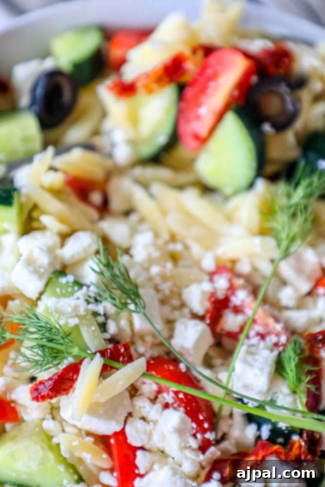 Close-up of Greek orzo pasta salad, showing cherry tomatoes, olives, sun-dried tomatoes, feta cheese, cucumbers, and fresh dill.
