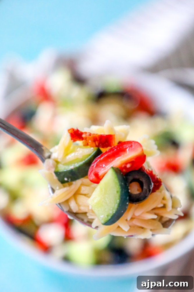Close-up of orzo pasta, cherry tomatoes, sun-dried tomatoes, and olives on a spoon, showcasing the fresh ingredients.