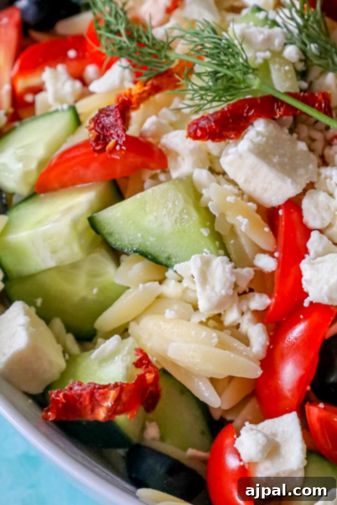 Close-up of Greek Orzo Pasta Salad showcasing tomatoes, cucumbers, feta, olives, and fresh dill.