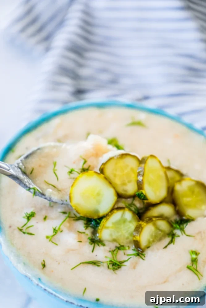 Zesty Keto Pickle Soup 3 pickle soup with dill and sliced pickles on it.
