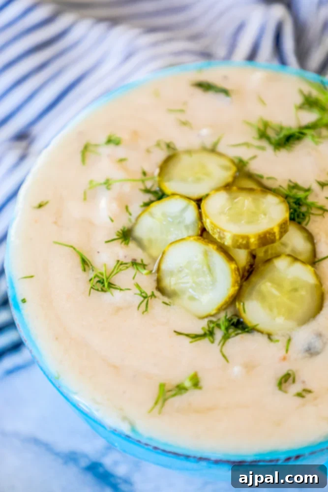 Zesty Keto Pickle Soup 4 pickle soup with dill and sliced pickles on it.