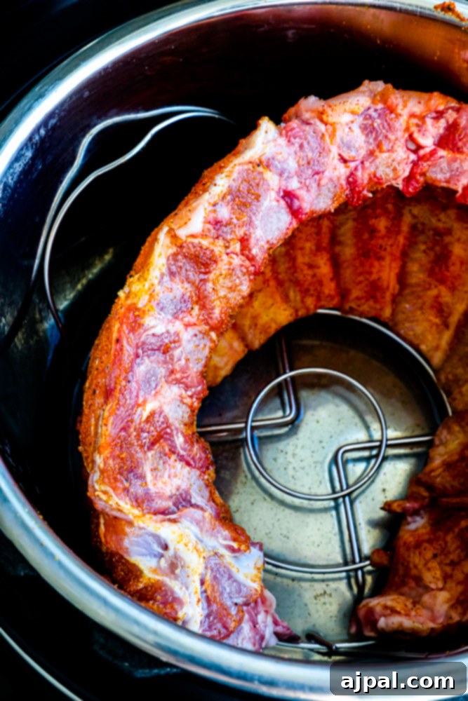 Melt-in-Your-Mouth Instant Pot Keto Ribs 4 A rack of seasoned pork ribs perfectly coiled inside an Instant Pot, awaiting the pressure cooking process.