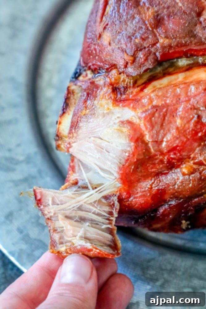 Ultimate Crispy Baked Pork Shoulder 5 A person holding a piece of perfectly baked Pork Shoulder on a plate, showing its tenderness.