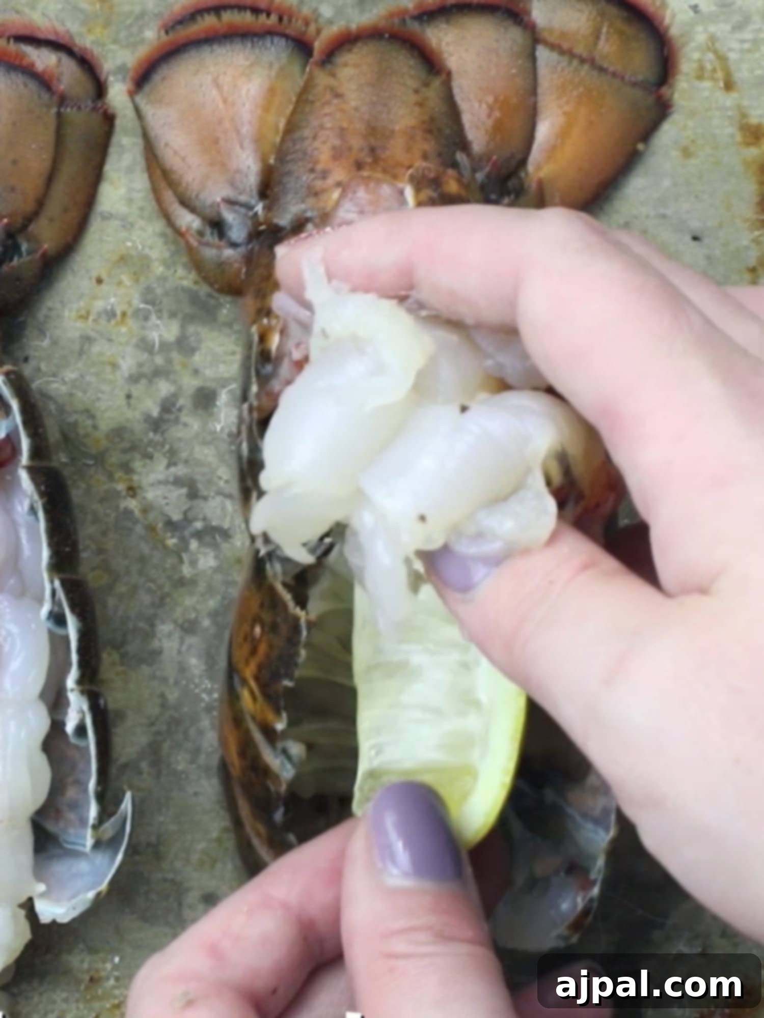 A hand carefully placing a lemon slice into a butterflied lobster tail shell.