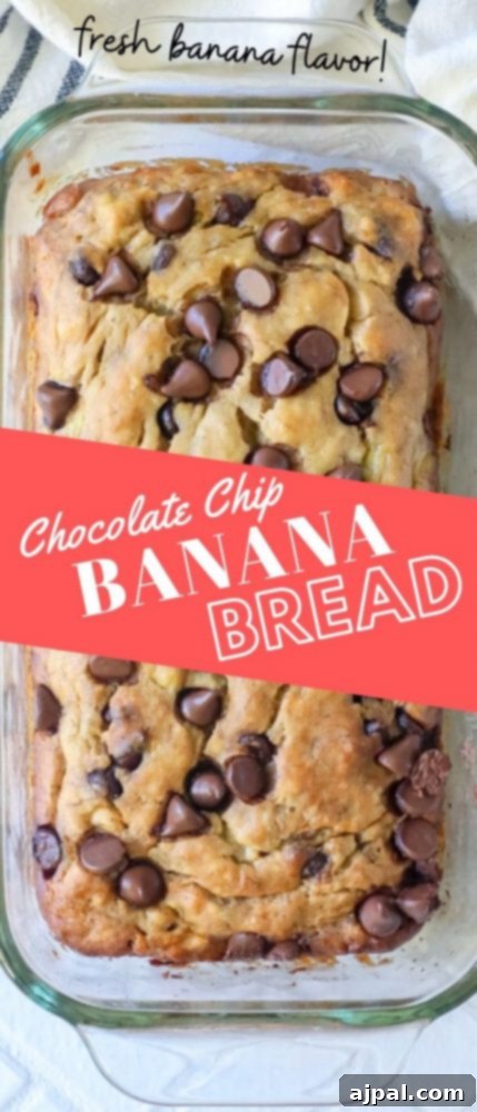 Delicious chocolate chip banana bread in a clear glass loaf pan, ready to be sliced