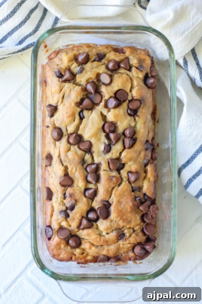 Freshly baked chocolate chip banana bread in a loaf pan, cooling on a wire rack on a kitchen counter