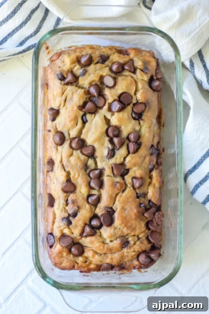 Picture of a freshly baked chocolate chip banana bread in a loaf pan, cooling on a wire rack