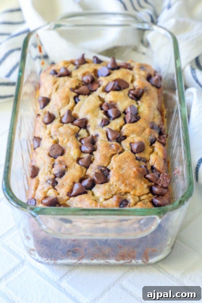 A whole loaf of chocolate chip banana bread in a glass pan, resting on a blue and white striped towel on a rustic wooden table