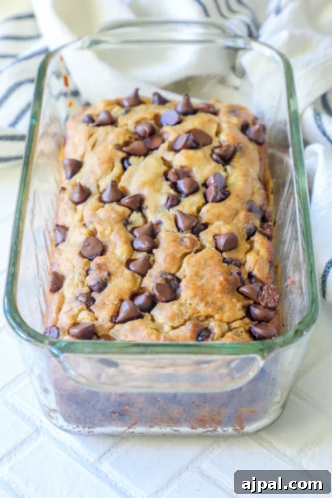 Picture of a golden-brown chocolate chip banana bread loaf in a pan, resting on a striped towel