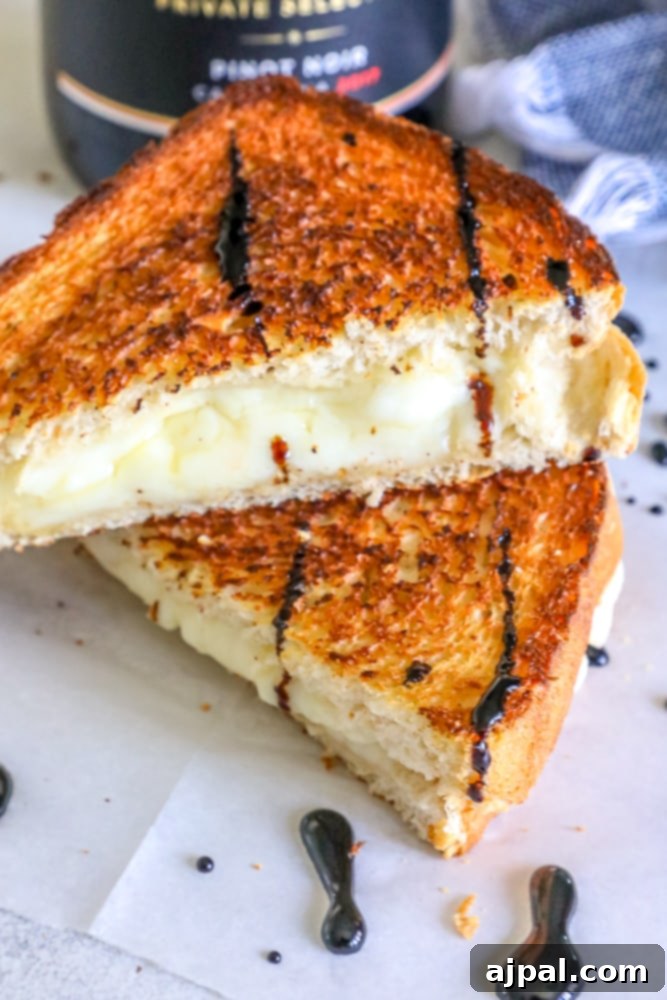 A perfectly golden grilled cheese sandwich, cut in half, with a generous drizzle of dark, rich Pinot Noir wine sauce, inviting a gourmet experience.