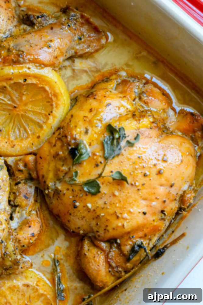 Zesty Mediterranean Chicken Thighs 2 Golden-brown Greek chicken thighs in a baking dish, garnished with fresh oregano and lemon slices.