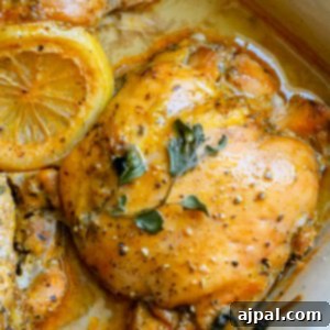 Greek chicken thigh in a baking dish with oregano and lemon in pan