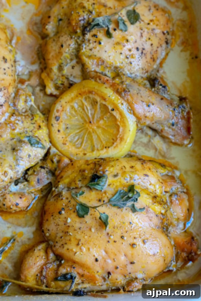 Zesty Mediterranean Chicken Thighs 3 Perfectly baked Greek chicken thighs with lemon slices and fresh thyme for garnish.